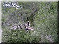 IMG_4087.JPG