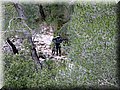 IMG_4088.JPG