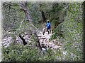 IMG_4091.JPG