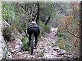 IMG_4093.JPG