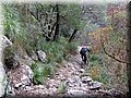 IMG_4094.JPG