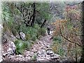 IMG_4095.JPG