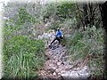 IMG_4099.JPG