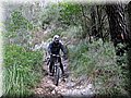 IMG_4101.JPG