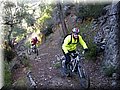 IMG_4121.JPG