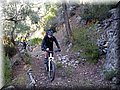 IMG_4125.JPG