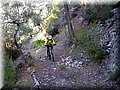IMG_4126.JPG