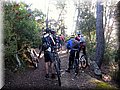 IMG_4138.JPG