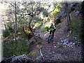 IMG_4139.JPG