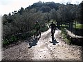 IMG_4143.JPG