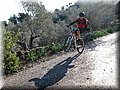 IMG_4145.JPG