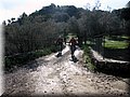 IMG_4146.JPG