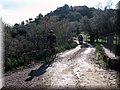 IMG_4148.JPG