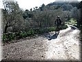 IMG_4151.JPG
