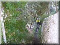 IMG_4152.JPG