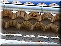 IMG_4157.JPG