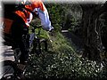 IMG_4166.JPG