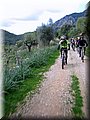 IMG_4199.JPG