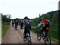 IMG_4206.JPG