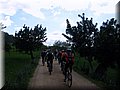 IMG_4210.JPG