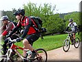 IMG_4216.JPG