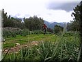 IMG_4221.JPG