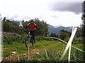 IMG_4222.JPG