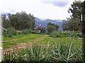 IMG_4223.JPG