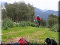 IMG_4230.JPG