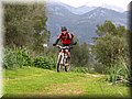 IMG_4233.JPG