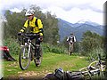 IMG_4248.JPG