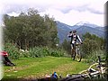 IMG_4249.JPG