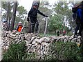 IMG_4253.JPG