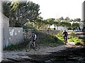 IMG_4963.JPG