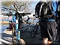 IMG_4964.JPG