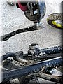 IMG_4968.JPG