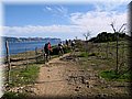 IMG_4974.JPG