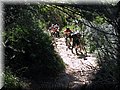 IMG_5002.JPG