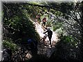 IMG_5006.JPG