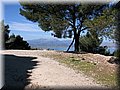 IMG_5010.JPG