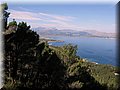 IMG_5013.JPG
