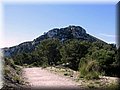 IMG_5016.JPG