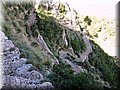 IMG_5020.JPG