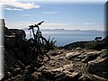 IMG_5022.JPG