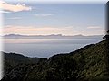 IMG_5024.JPG