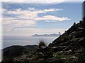 IMG_5027.JPG