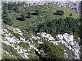 IMG_5029.JPG