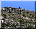 IMG_5036.JPG
