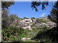 IMG_5048.JPG