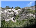 IMG_5049.JPG